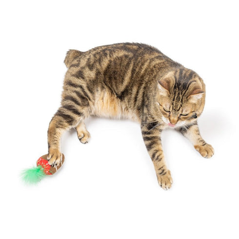 Huxley & Kent Chocolate Strawberry Cat Toy - Poudre Pet & Feed Supply 4